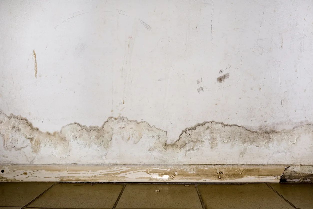 Leaking water heater damage prevention for East Valley homeowners