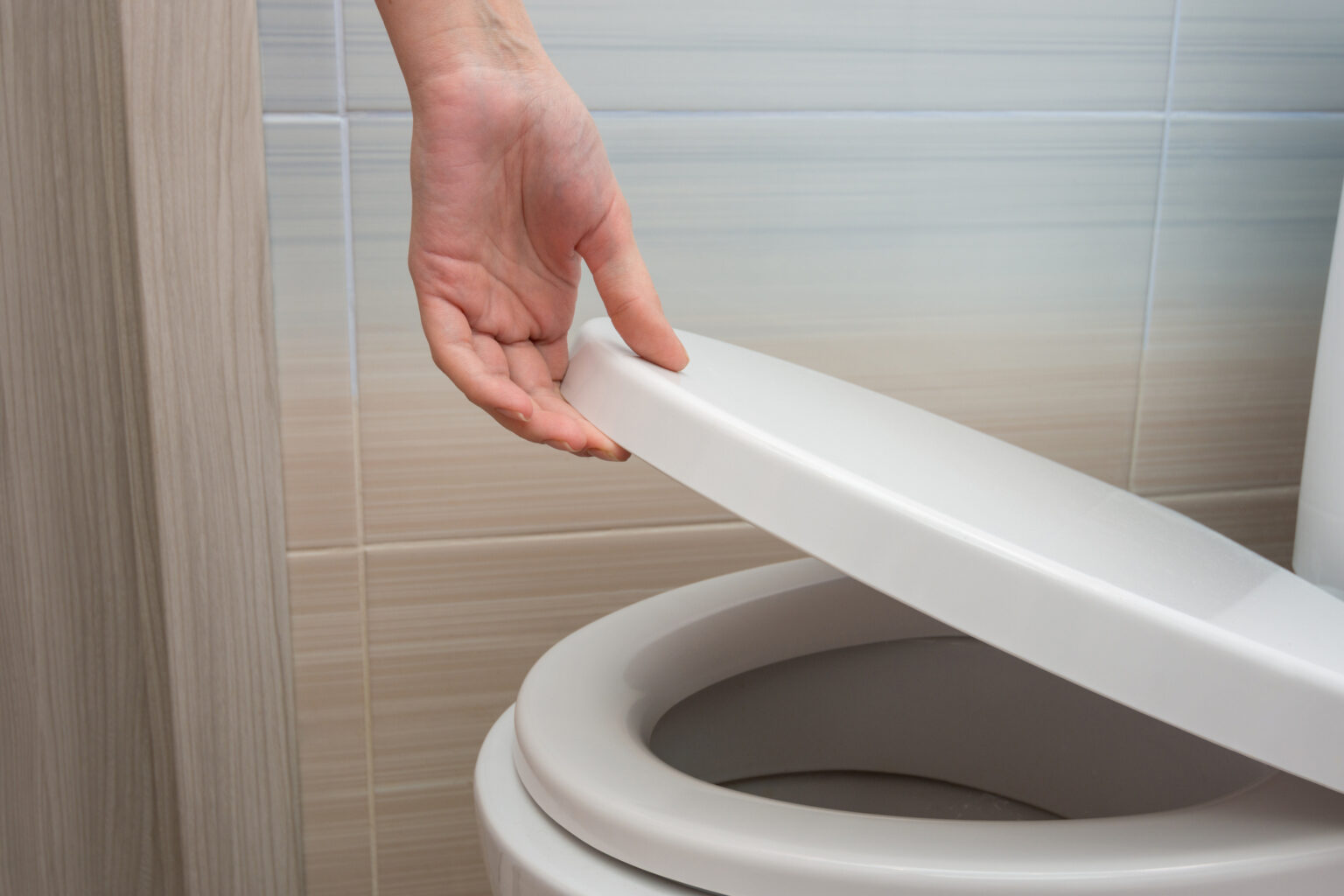 How to Install a Toilet Seat Phend Plumbing